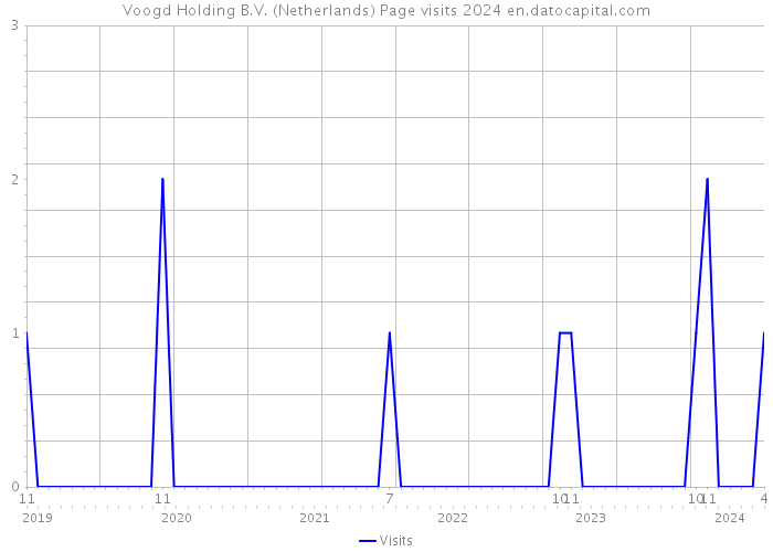 Voogd Holding B.V. (Netherlands) Page visits 2024 