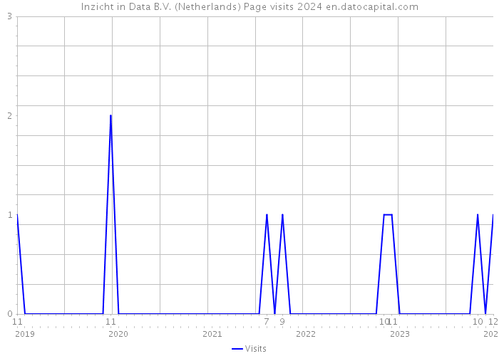 Inzicht in Data B.V. (Netherlands) Page visits 2024 