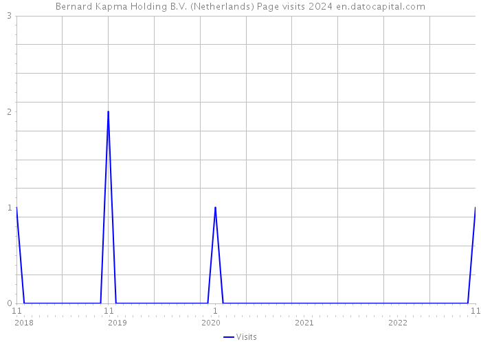 Bernard Kapma Holding B.V. (Netherlands) Page visits 2024 