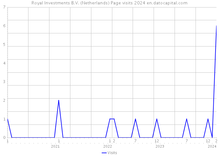 Royal Investments B.V. (Netherlands) Page visits 2024 