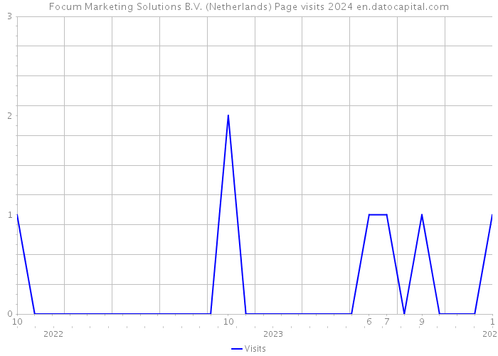 Focum Marketing Solutions B.V. (Netherlands) Page visits 2024 