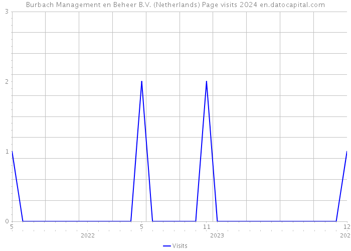 Burbach Management en Beheer B.V. (Netherlands) Page visits 2024 