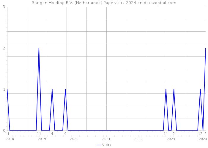 Rongen Holding B.V. (Netherlands) Page visits 2024 
