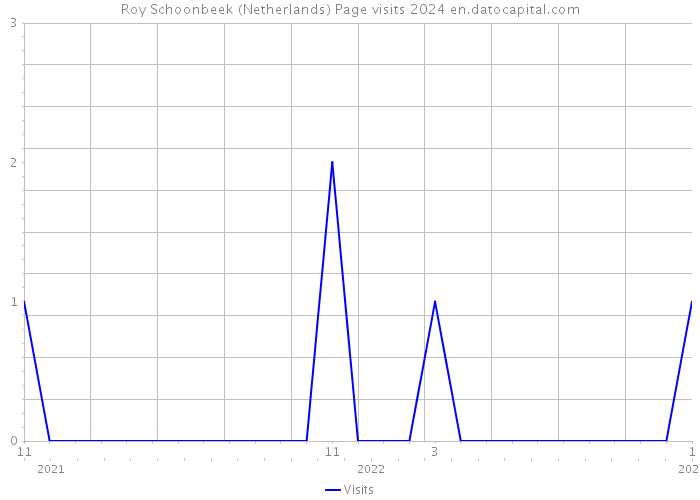 Roy Schoonbeek (Netherlands) Page visits 2024 
