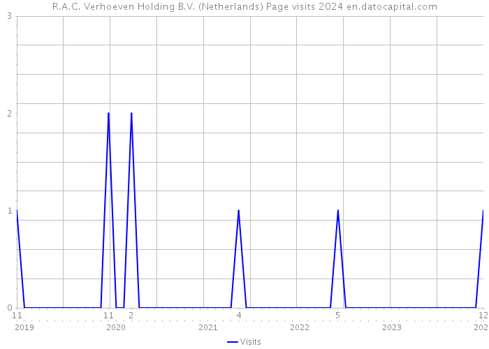 R.A.C. Verhoeven Holding B.V. (Netherlands) Page visits 2024 