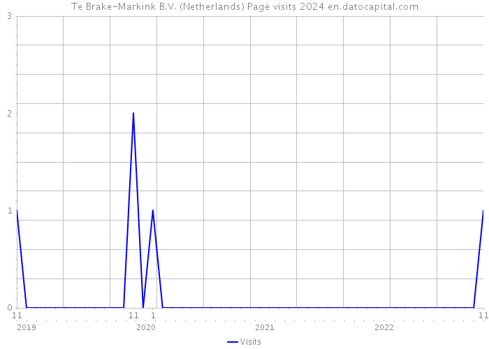 Te Brake-Markink B.V. (Netherlands) Page visits 2024 