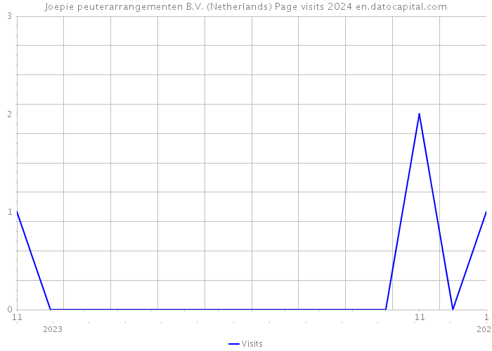 Joepie peuterarrangementen B.V. (Netherlands) Page visits 2024 