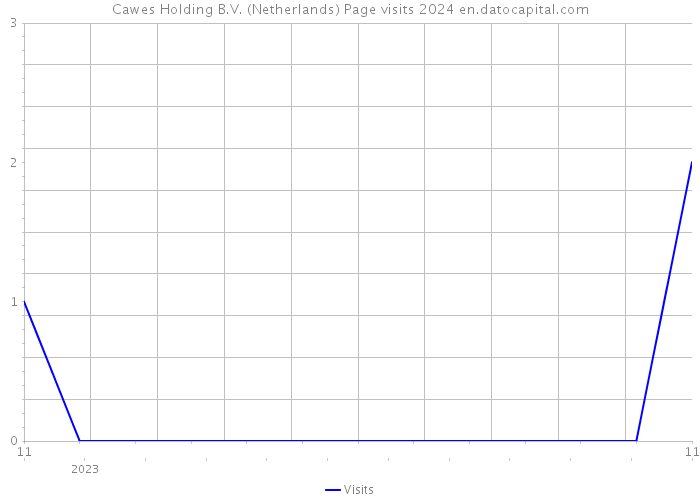 Cawes Holding B.V. (Netherlands) Page visits 2024 