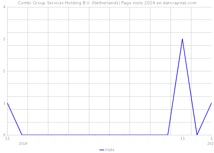 Combi Group Services Holding B.V. (Netherlands) Page visits 2024 