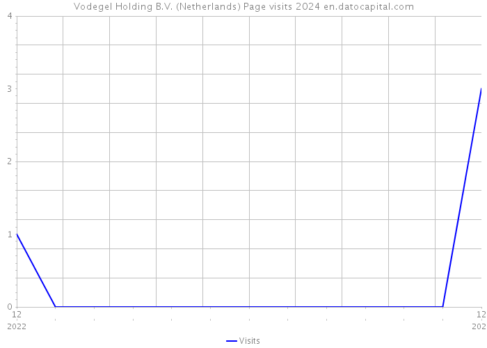 Vodegel Holding B.V. (Netherlands) Page visits 2024 