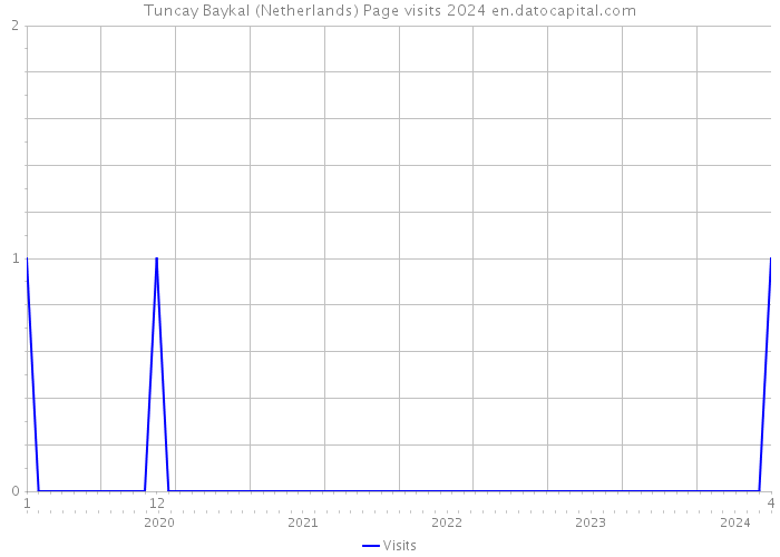 Tuncay Baykal (Netherlands) Page visits 2024 