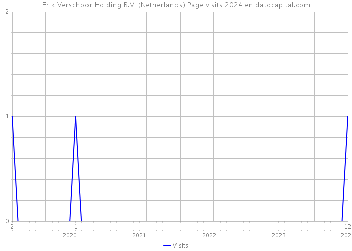 Erik Verschoor Holding B.V. (Netherlands) Page visits 2024 