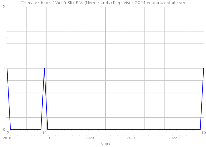 Transportbedrijf Van 't Blik B.V. (Netherlands) Page visits 2024 
