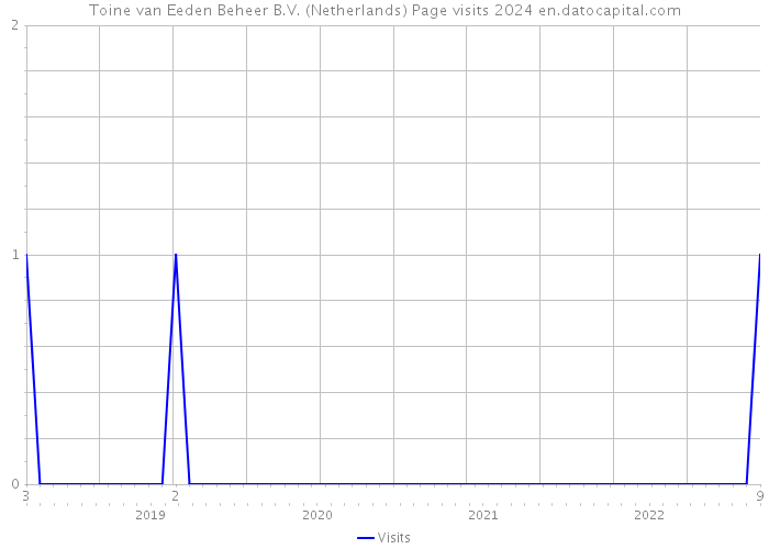 Toine van Eeden Beheer B.V. (Netherlands) Page visits 2024 