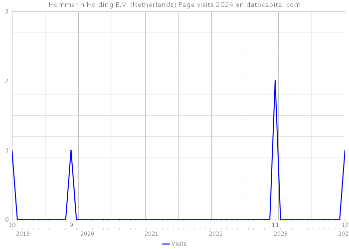 Hommerin Holding B.V. (Netherlands) Page visits 2024 