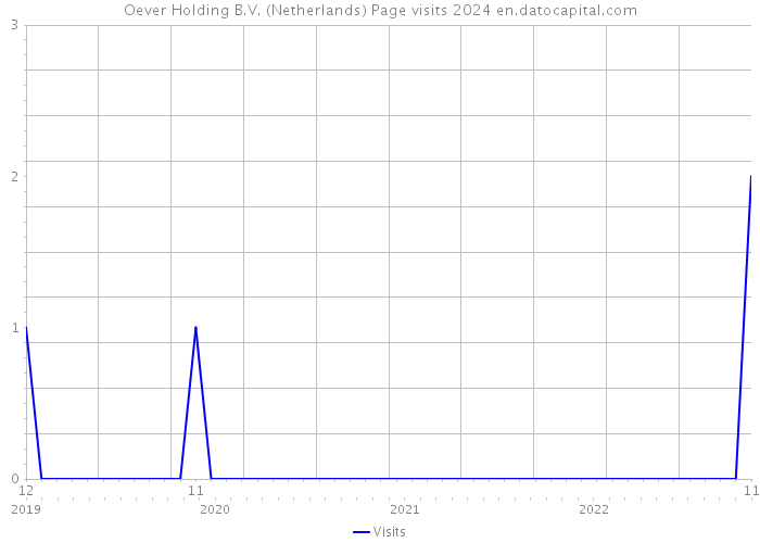Oever Holding B.V. (Netherlands) Page visits 2024 
