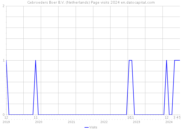 Gebroeders Boer B.V. (Netherlands) Page visits 2024 