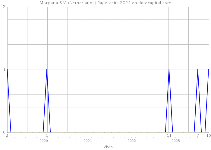 Morgana B.V. (Netherlands) Page visits 2024 