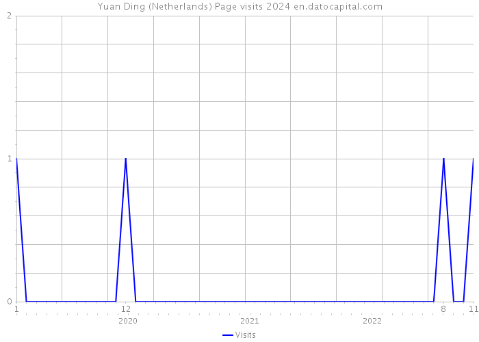 Yuan Ding (Netherlands) Page visits 2024 