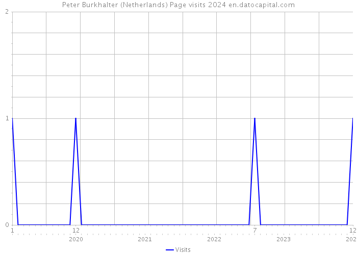 Peter Burkhalter (Netherlands) Page visits 2024 