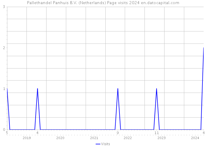 Pallethandel Panhuis B.V. (Netherlands) Page visits 2024 