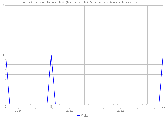 Tirelire Ottersum Beheer B.V. (Netherlands) Page visits 2024 