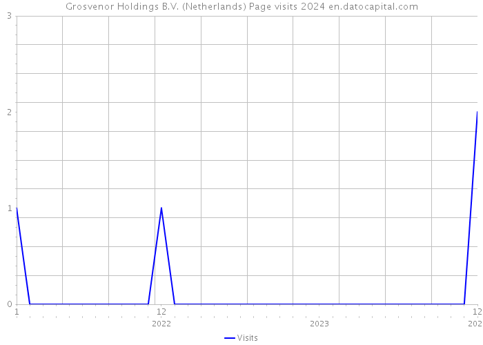 Grosvenor Holdings B.V. (Netherlands) Page visits 2024 