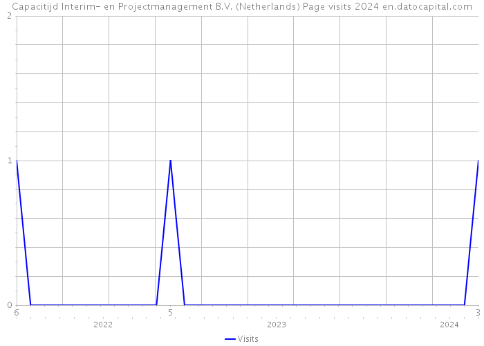Capacitijd Interim- en Projectmanagement B.V. (Netherlands) Page visits 2024 