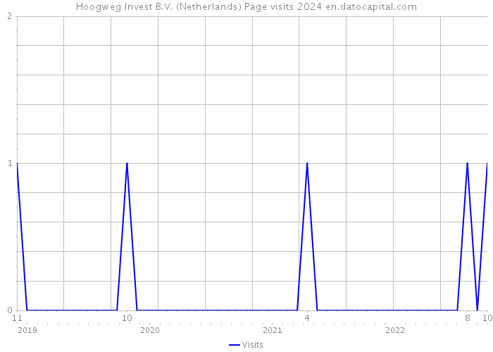 Hoogweg Invest B.V. (Netherlands) Page visits 2024 