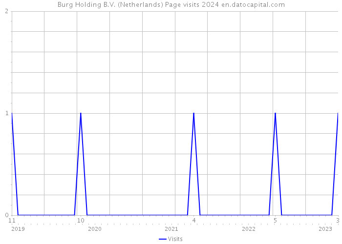 Burg Holding B.V. (Netherlands) Page visits 2024 
