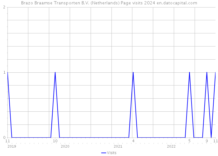 Brazo Braamse Transporten B.V. (Netherlands) Page visits 2024 