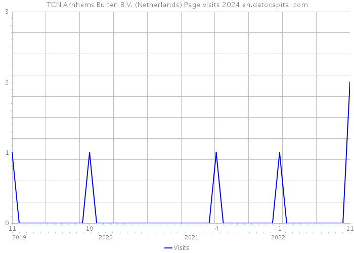 TCN Arnhems Buiten B.V. (Netherlands) Page visits 2024 