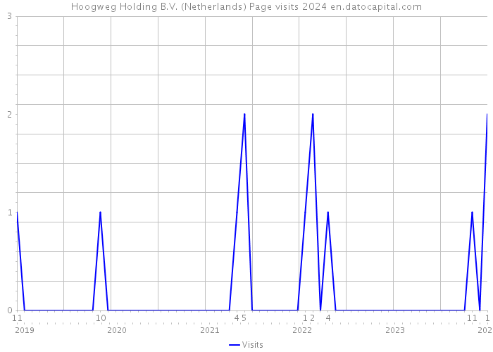 Hoogweg Holding B.V. (Netherlands) Page visits 2024 