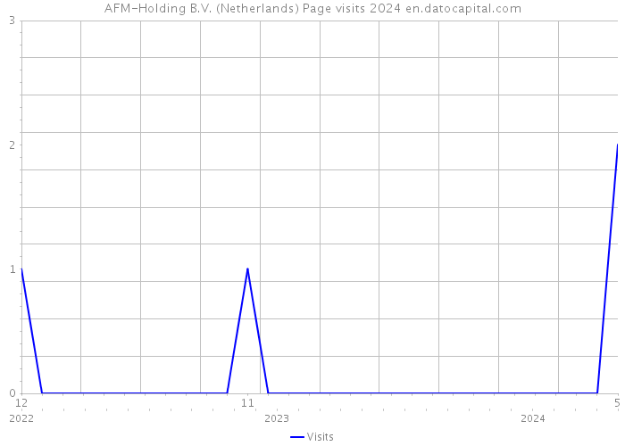 AFM-Holding B.V. (Netherlands) Page visits 2024 