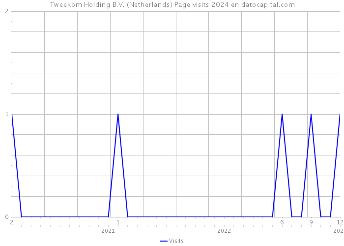 Tweekom Holding B.V. (Netherlands) Page visits 2024 