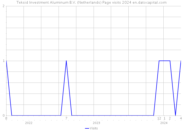 Teksid Investment Aluminum B.V. (Netherlands) Page visits 2024 