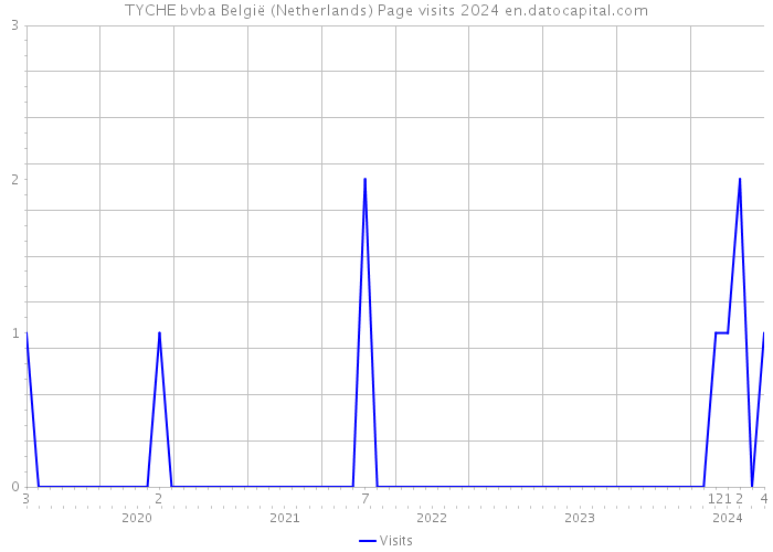 TYCHE bvba België (Netherlands) Page visits 2024 