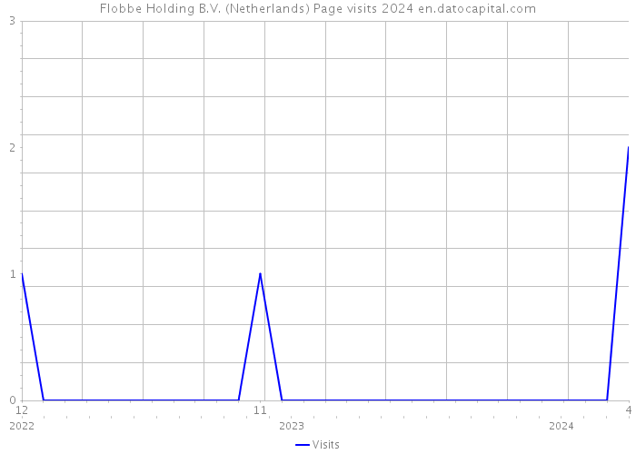 Flobbe Holding B.V. (Netherlands) Page visits 2024 