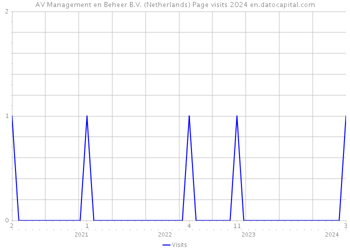 AV Management en Beheer B.V. (Netherlands) Page visits 2024 