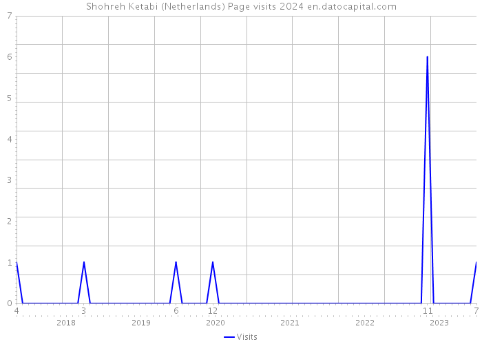Shohreh Ketabi (Netherlands) Page visits 2024 