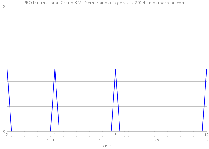 PRO International Group B.V. (Netherlands) Page visits 2024 