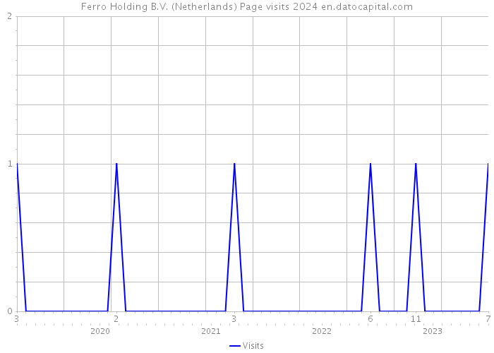 Ferro Holding B.V. (Netherlands) Page visits 2024 