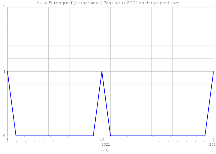 Auke Burghgraef (Netherlands) Page visits 2024 