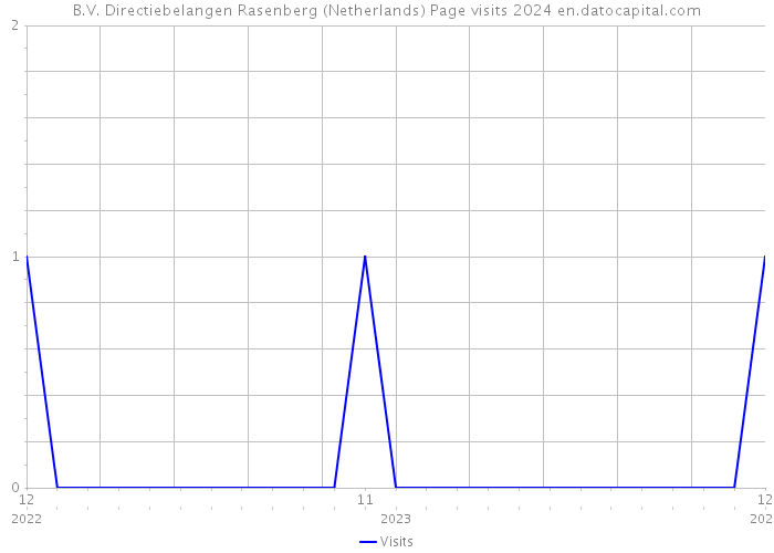 B.V. Directiebelangen Rasenberg (Netherlands) Page visits 2024 