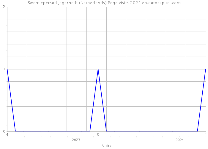 Swamiepersad Jagernath (Netherlands) Page visits 2024 