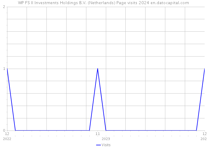 WP FS II Investments Holdings B.V. (Netherlands) Page visits 2024 