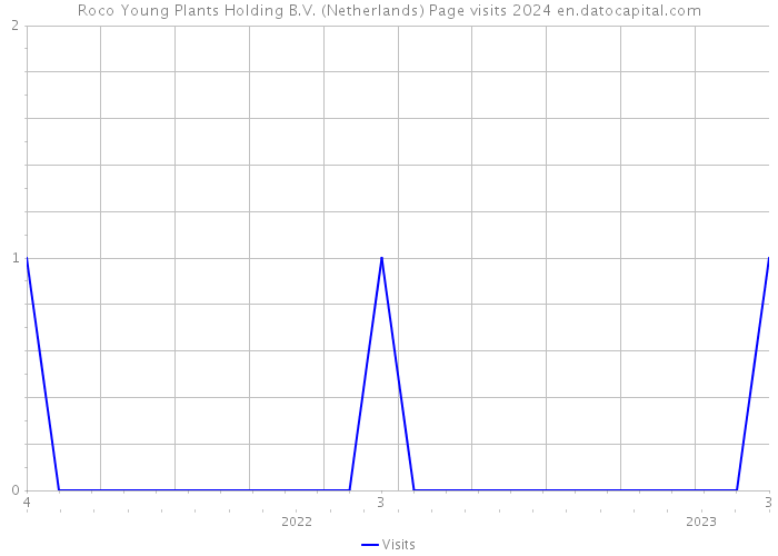 Roco Young Plants Holding B.V. (Netherlands) Page visits 2024 