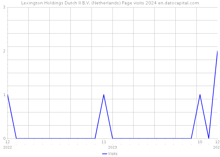 Lexington Holdings Dutch II B.V. (Netherlands) Page visits 2024 
