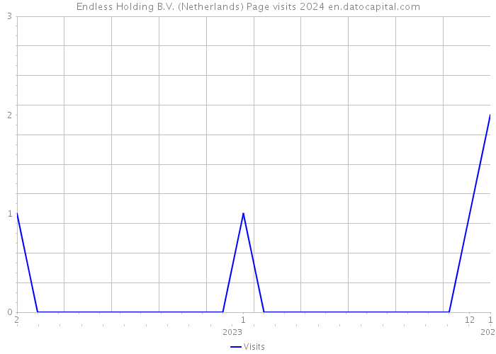 Endless Holding B.V. (Netherlands) Page visits 2024 