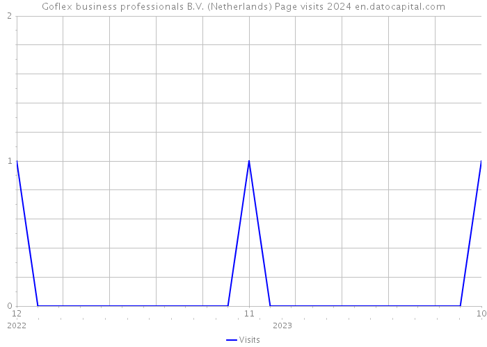 Goflex business professionals B.V. (Netherlands) Page visits 2024 